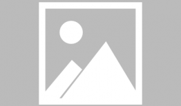 动漫美女被触手,动漫美女的神秘变身之旅